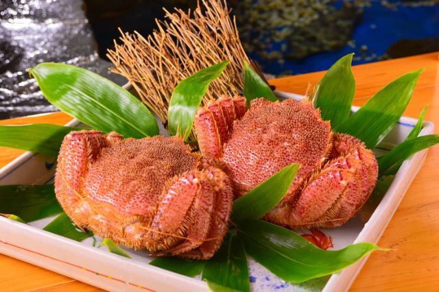 1. Shunkashuto Katsugyoryori Hokkai (Tomakomai / 日本料理 Cuisine)