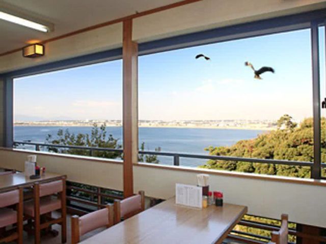 提到「湘南」…就想到江之島&魩仔魚!!可在江之島周邊享用到知名魩仔魚料理的餐廳