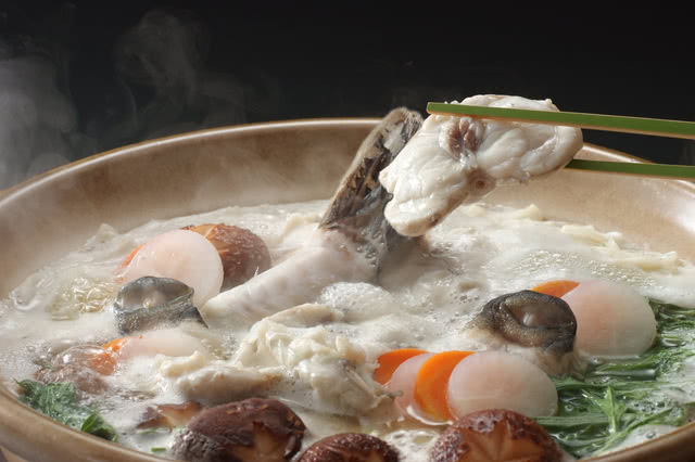 河豚料理的历史和不同美味的吃法
