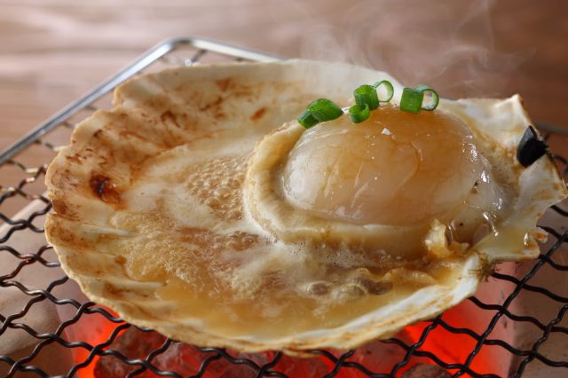 Scallop