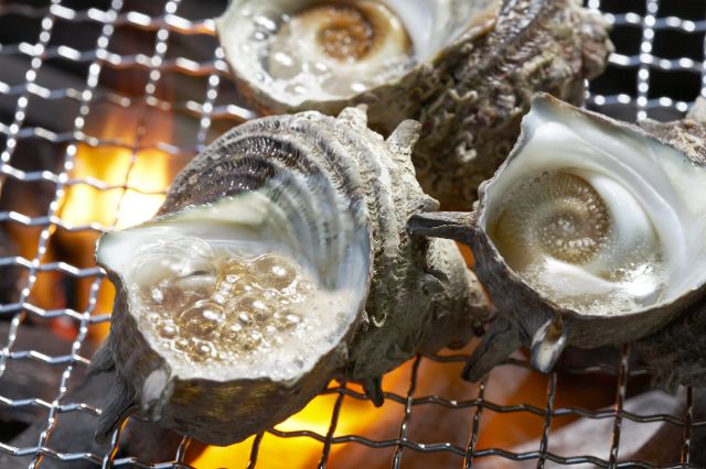 Sazae (Horned turban shell)