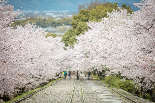 蹴上坡道