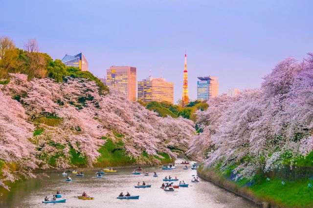 千鸟渊公园