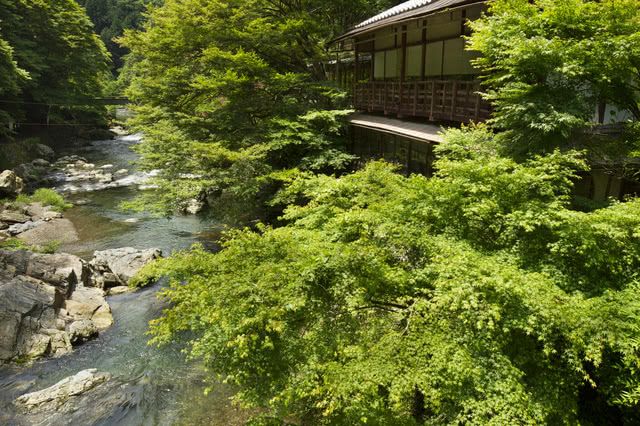高尾的川床