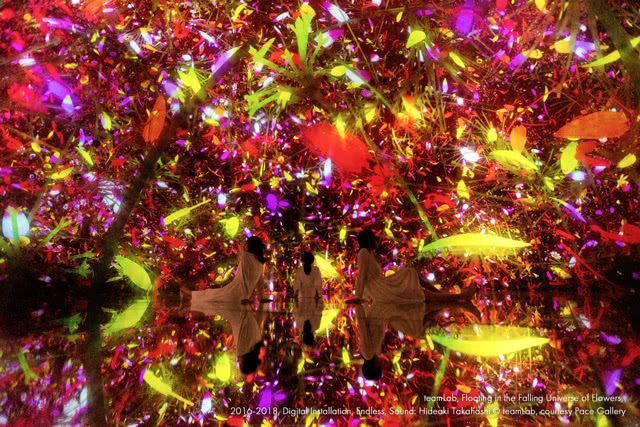 沉浸在teamLab Planets 东京 DMM的迷人世界中 - 数字艺术与水和花无缝融合!