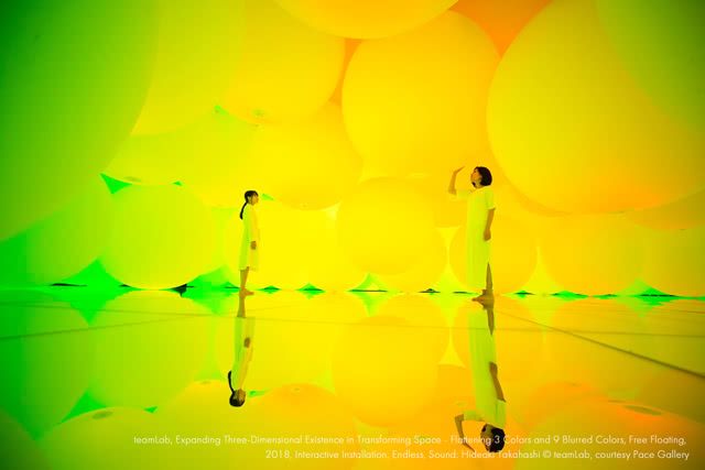 沉浸在teamLab Planets 东京 DMM的迷人世界中 - 数字艺术与水和花无缝融合!