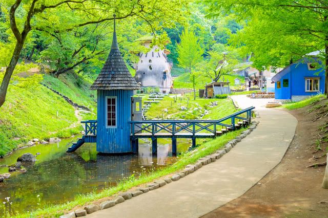 623＊花街道　261彼岸花 巾着田曼珠沙华公园：日本最佳彼岸花观赏地，500万株花海的绝美