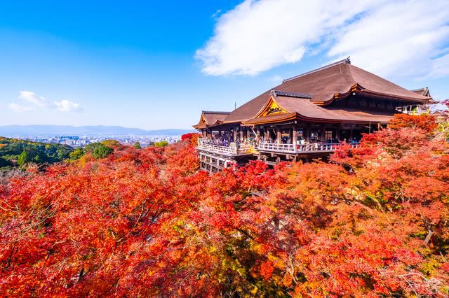 冷山和岚山 - 受欢迎的秋季观叶景点