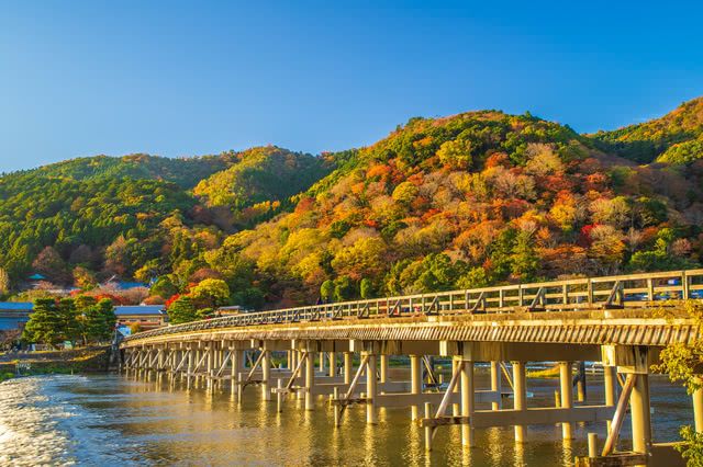 京都当地人推荐的赏秋景点和附近餐馆