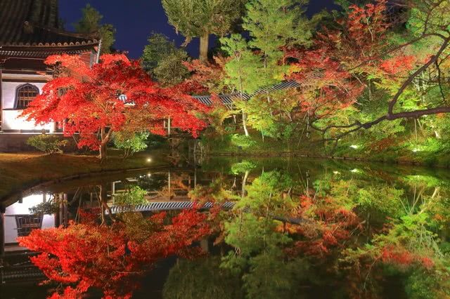 东山推荐的观叶景点:高台寺