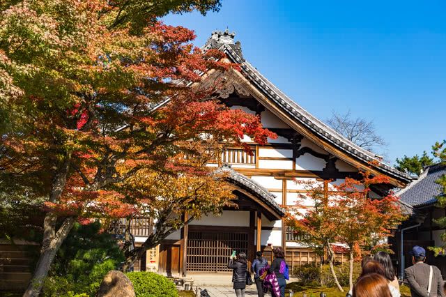 京都本地人推荐的赏秋景点和附近餐馆