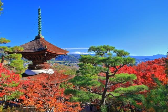京都当地人推荐的赏秋景点和附近餐馆
