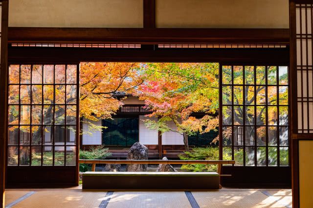 京都本地人推荐的赏枫地点和附近餐厅