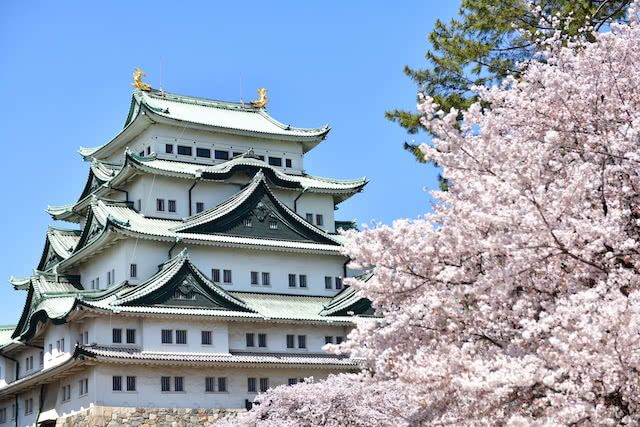 名古屋 - 推荐的观光景点和这座奇迹之城的名菜