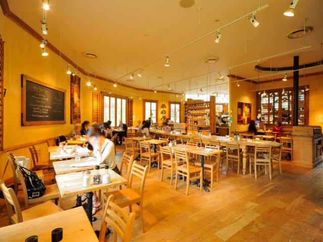 Stylish Cafes Near Cherry Blossom Viewing Spots in Tokyo