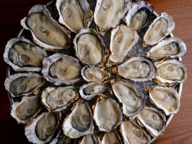 7. OYSTER & WINE VINOBLE