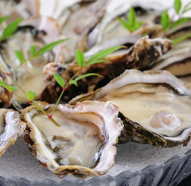 冬季珍馐！广岛5家提供美味牡蛎料理的餐厅推荐