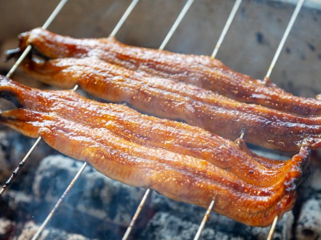 美食匯聚之城・大阪可品嚐美味鰻魚的5家店｜大阪