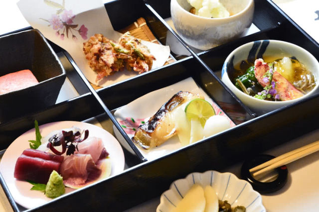 Great Food Options After Visiting Famous Cherry Blossom Viewing Locations in Sapporo and Hakodate