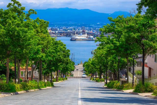 Why You Should Visit Hakodate in Early Summer - Dazzling Night Views and Fresh Seafood!