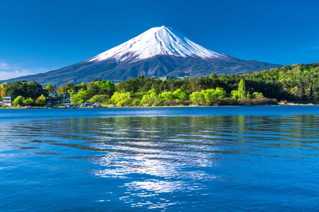 Shizuoka and Yamanashi: Two Prefectures, Two Perspectives