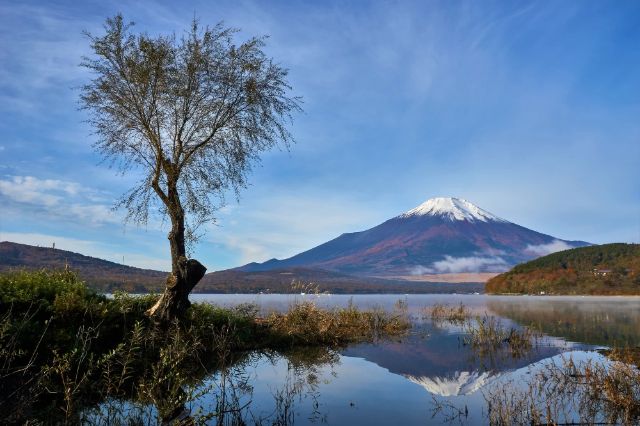 富士山該從哪一側觀賞?靜岡山梨景觀各不同