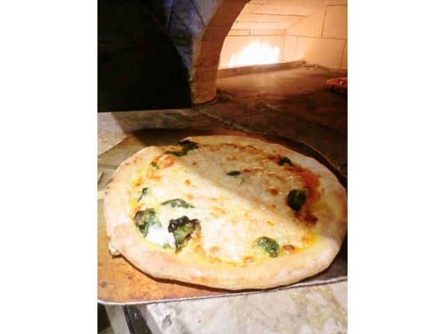 漫步在小樽站和運河旁♪來場小樽美食約會吧！我們將為您介紹能夠盡情享用小樽美食的午餐和晚餐。