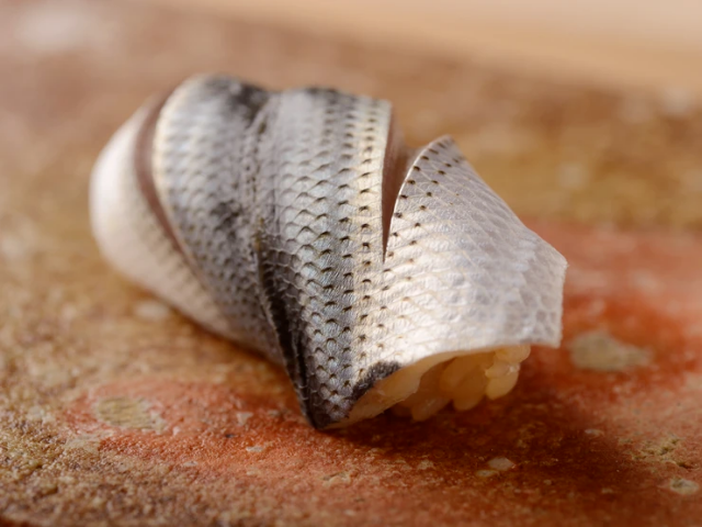 將每種海鮮的味道發揮到極致,魅惑的「熟成壽司」