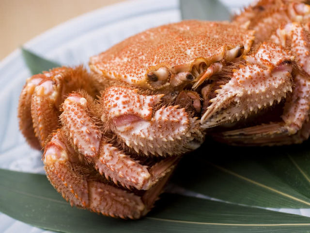 無論是與幾位好友小聚、或是團體宴會皆宜的札幌及小樽嚴選鍋物名店