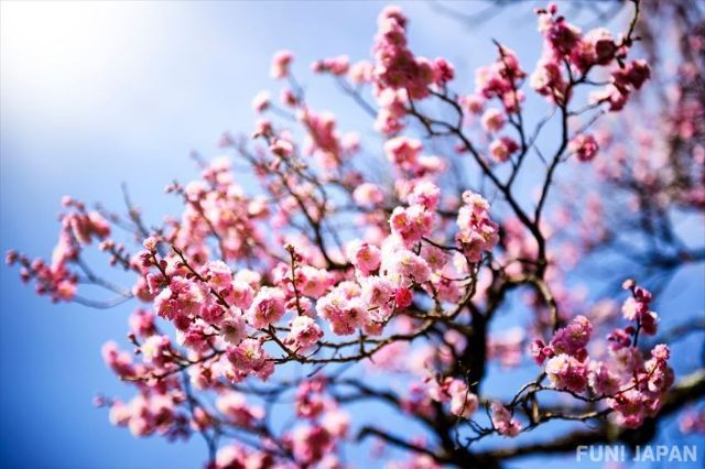 Spring (March, April and May)