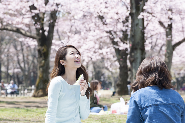 What is Hanami?