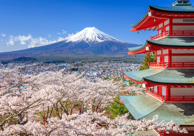 The History of Hanami