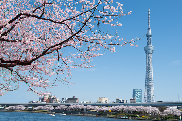 1. Sumida Park (Sumida/Asakusa)