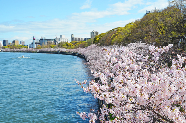 2. Kema Sakuranomiya Park (Sakuranomiya)