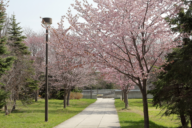 3.莫埃來沼公園（札幌）