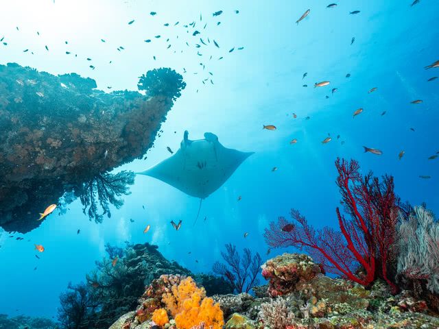 이시가키 섬, 에메랄드 그린 바다로 유명