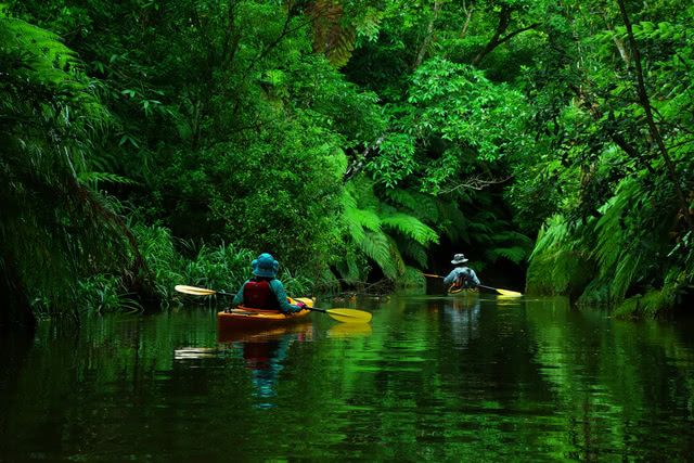 오키나와의 이시가키 섬을 방문하여 환상적인 경치와 뛰어난 와규 소고기를 즐기세요