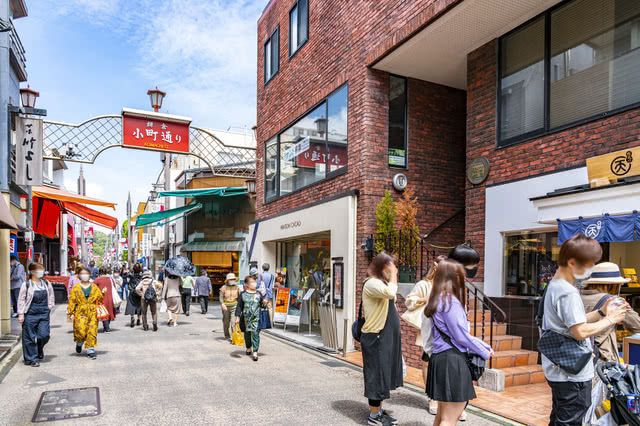 Summer Means the Sea! Beaches and Sightseeing in Kamakura