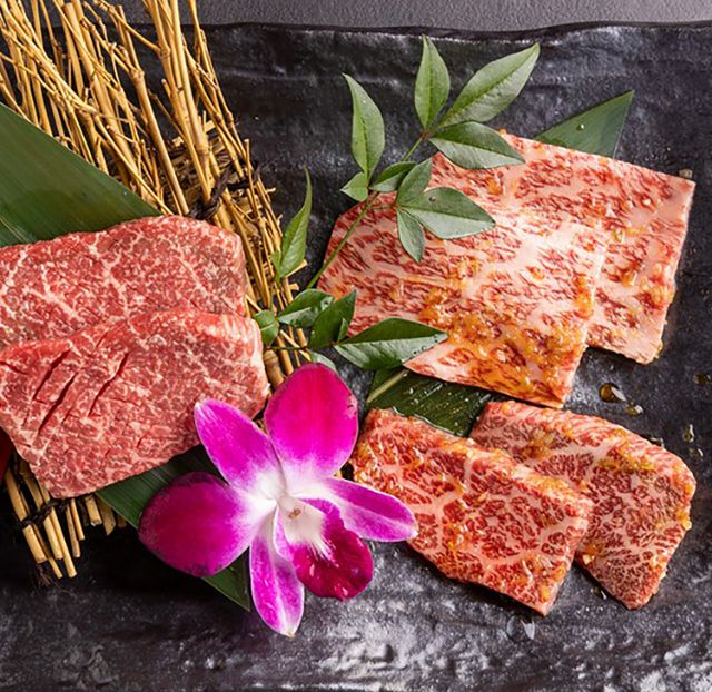 고기집의 개념을 뒤집다! 한 단계 높은 맛을 즐길 수 있는 나고야의 추천 맛집 5곳 | 아이치・나고야