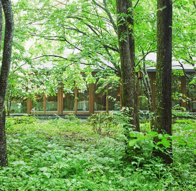 寻找残暑中的凉爽！感受绿风的轻井泽推荐5家店铺｜长野・轻井泽