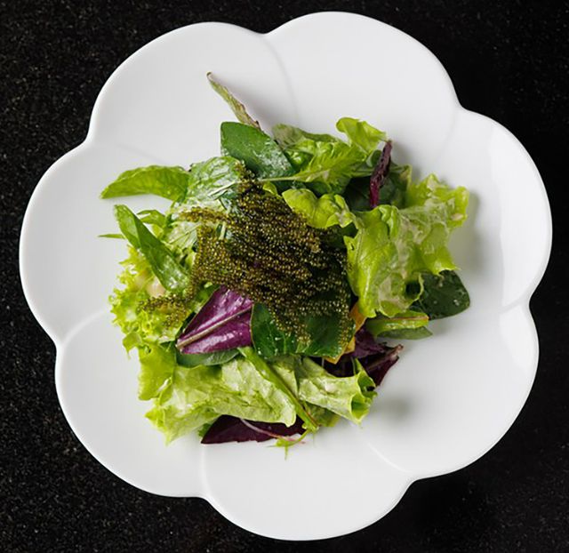 If visiting Miyako Island, here are 5 restaurants where you can enjoy plenty of local ingredients from Miyako Island!