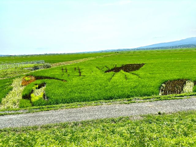 [世界遗产 佐渡金山へ] 日本らしさを楽しむ佐渡岛的旅 – 历史・生活に触れる2日目