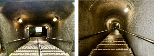 [Day 2] Sado Island, Niigata - A Treasure Trove of Naturals, a Place of New UNESCO Heritage