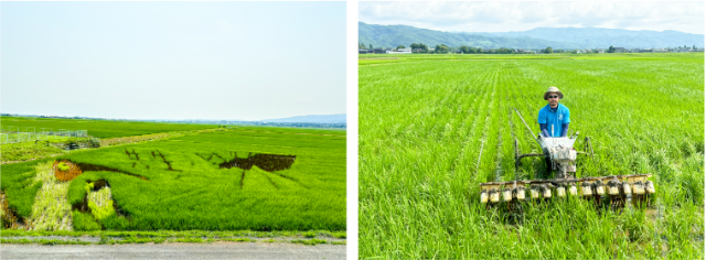 [Day 2] Sado Island, Niigata - A Treasure Trove of Naturals, a Place of New UNESCO Heritage