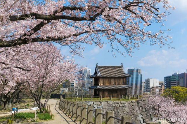 Fukuoka Castle