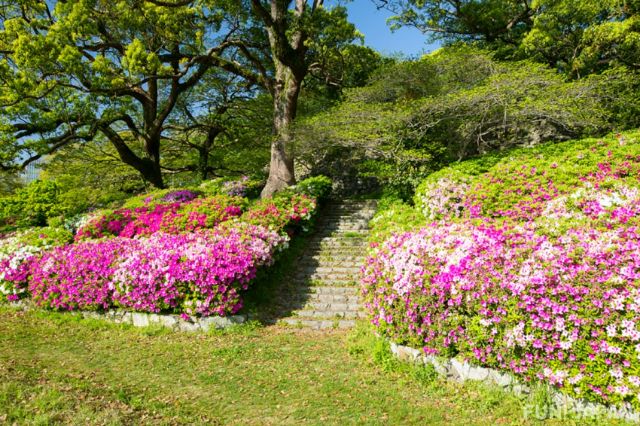 2. Parks or Scenic Spots that should be Visited in Fukuoka
