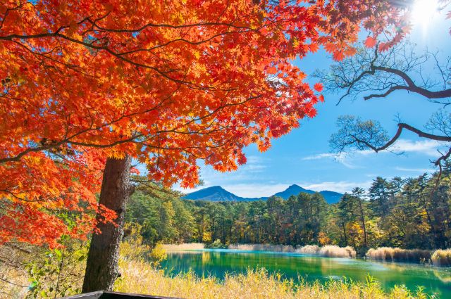 福島縣的秋天有哪些魅力？