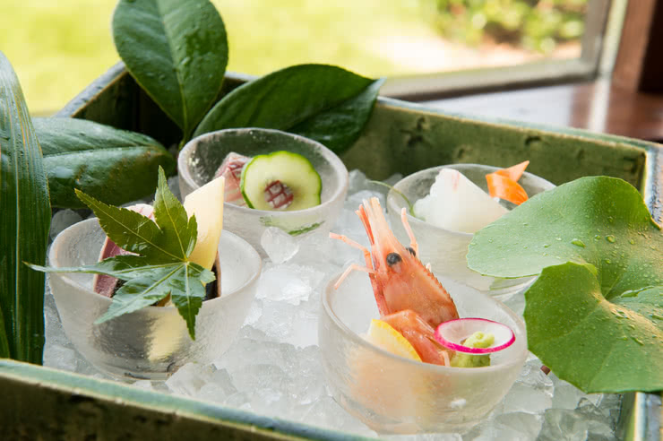 Restaurants in Fukuoka Where You Can Enjoy Your Meal While Viewing Cherry Blossoms