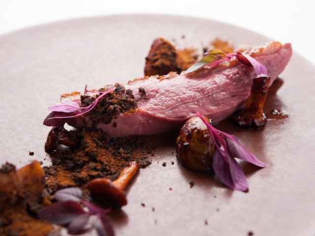 在映射季節之美的現代法式料理中享受悠閒時光