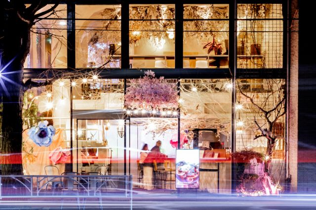 A restaurant offering an experiential blend of food and art, attracting attention from international visitors to Japan! [TREE by NAKED yoyogi park]